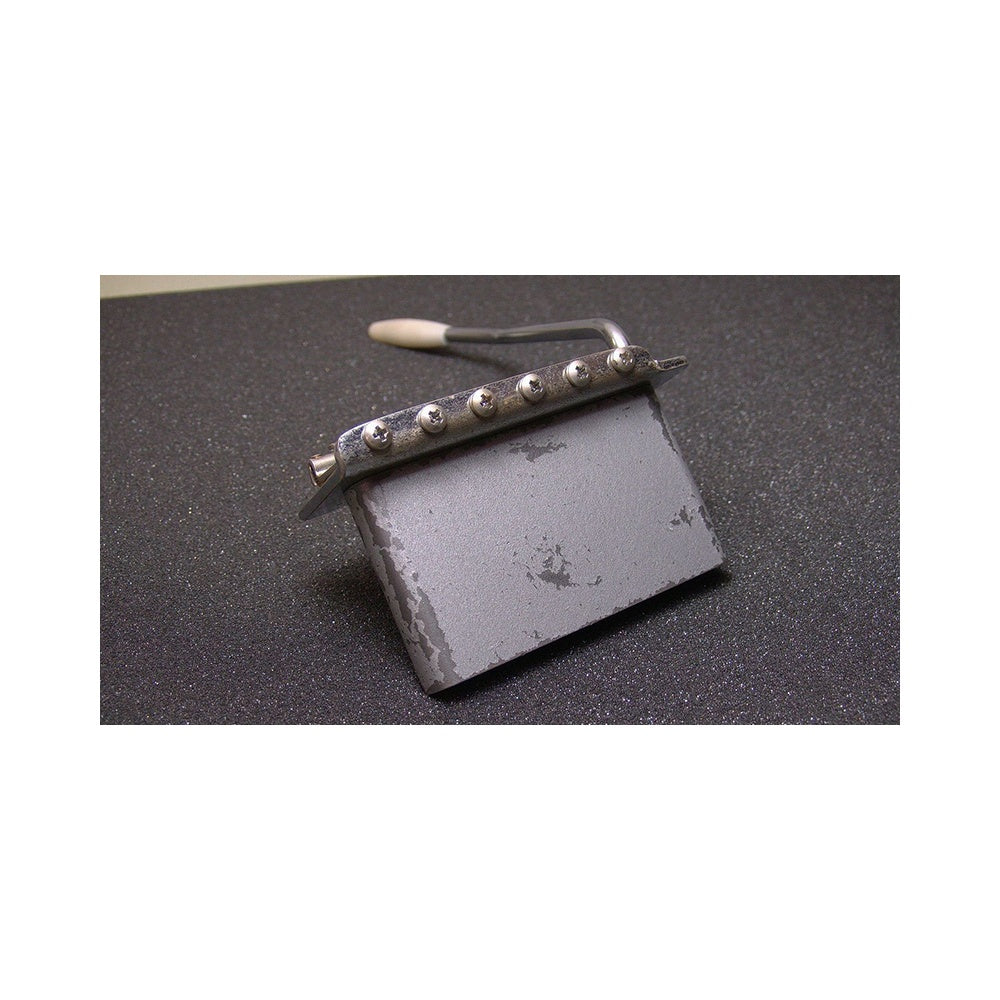 Vintage Tremolo System Aged Chrome Finish