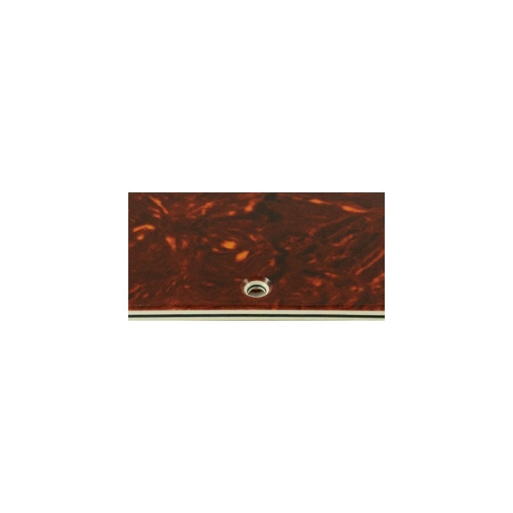 Jazz Bass Mexican Standard - Brown Tortoiseshell/Parchment 4 Ply Celluloid