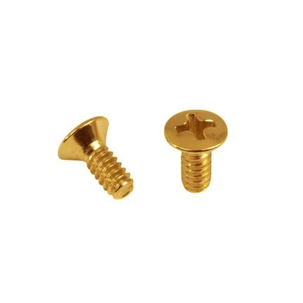 5 Way and 3 Way Blade Switch Mounting Screw For USA Switches (Set Of 2)